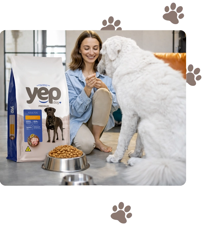 Imagem Seja Revendedor